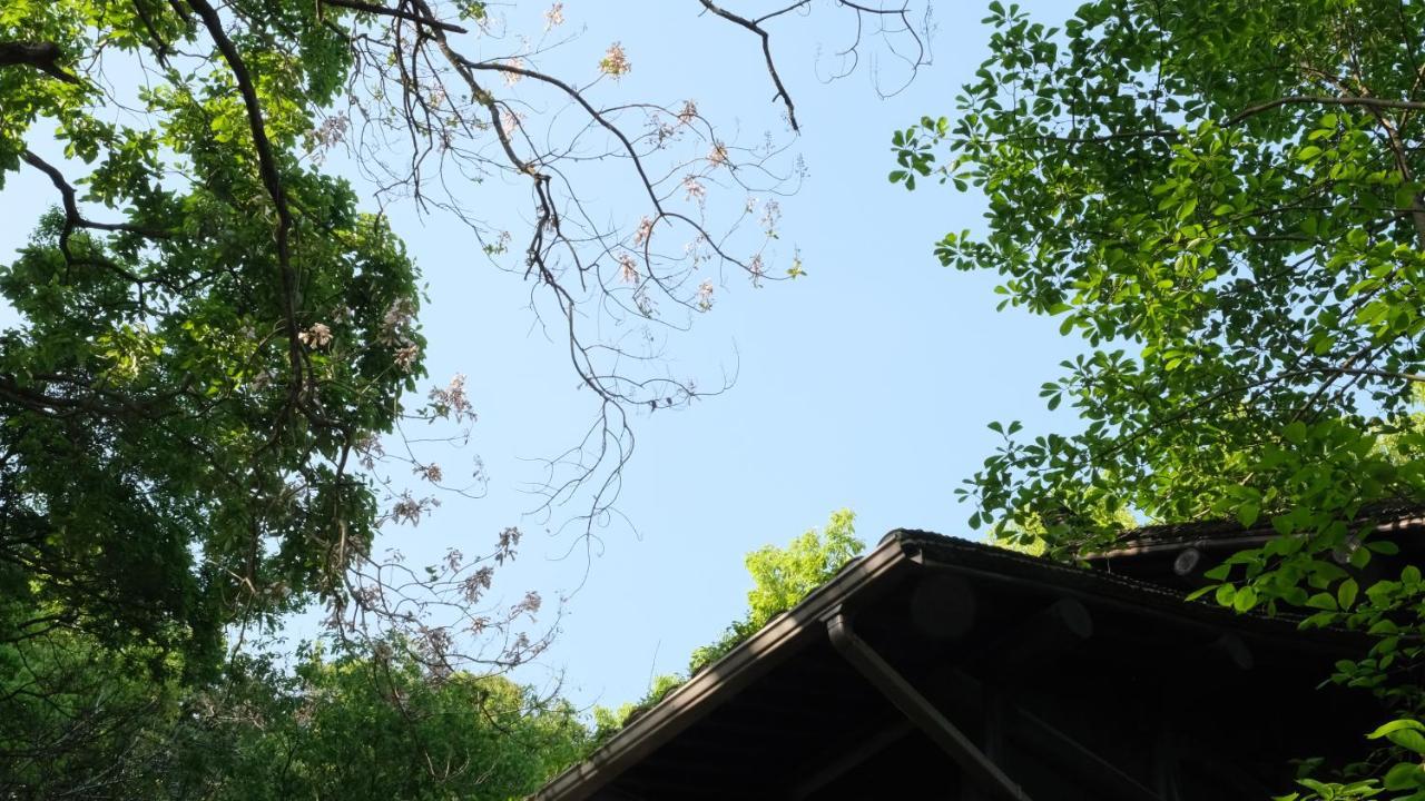 شقة Rock&Wood Cozy House هانجتشو المظهر الخارجي الصورة